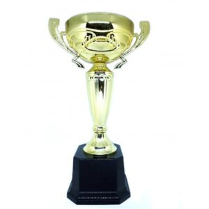 ödül kupası